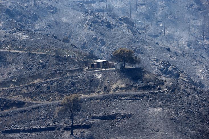 Το στοίχημα είναι μέσα από την καταστροφή, να δούμε τους ανθρώπους όρθιους, είπε ο Υπουργός Γεωργίας