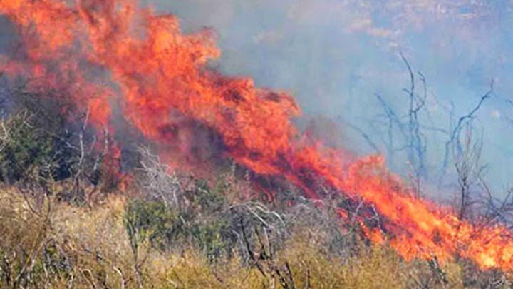 Τέσσερις νεκροί στις δασικές πυρκαγιές στη Τουρκία