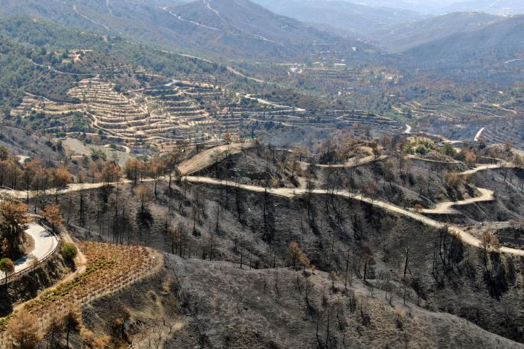 Θα στηριχθούν οι πληγέντες γεωργοί της καταστροφικής πυρκαγιάς, ανέφερε ο Υπουργός Γεωργίας