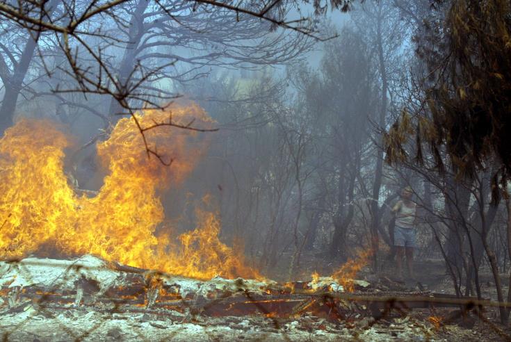 Από τις 27 Σεπτεμβρίου οι δηλώσεις για ζημιές σε Γιόλου, Σίμου, Δρύμου, Δρυνιά