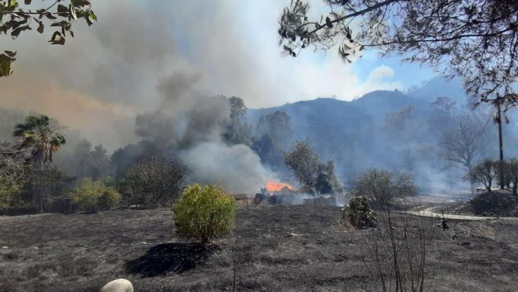 Η Βουλή θα συμπαρασταθεί στους πυρόπληκτους, είπε η Αννίτα Δημητρίου