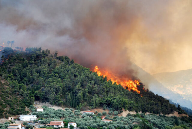 Είμαστε σε διάταξη μάχης για τις πυρκαγιές, αναφέρει ο Διευθυντής του Τμήματος Δασών