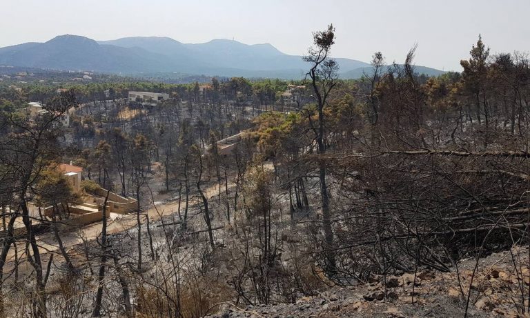 Η Ομάδα Πρωτοβουλίας Εθελοντών Στήριξης συνεισφέρει για στήριξη πυρόπληκτων στην Ελλάδα