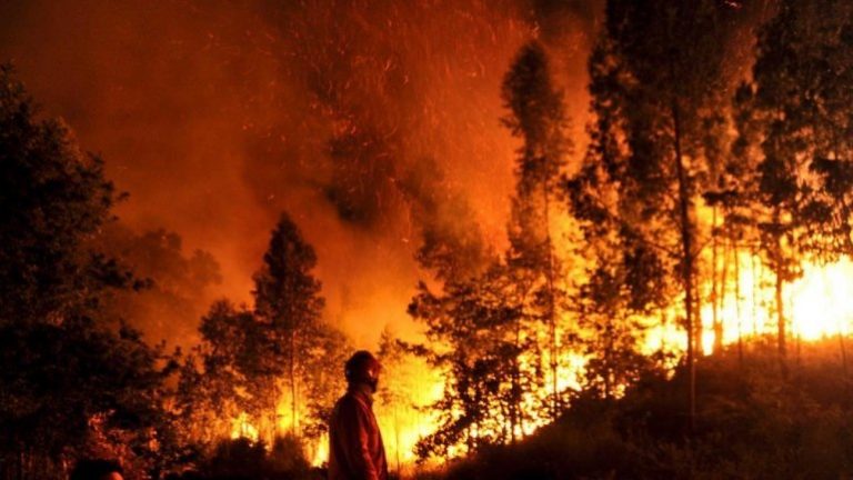 Πυρκαγιά Ντίξι-Καλιφόρνια: η δεύτερη μεγαλύτερη στη νεότερη ιστορία της