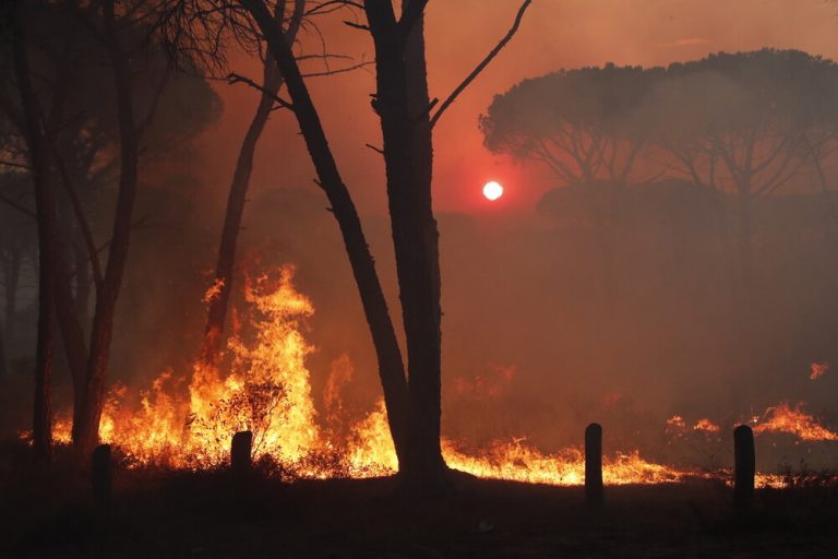 Ανεξέλεγκτη μαίνεται η πυρκαγιά στην περιοχή των Βιλίων