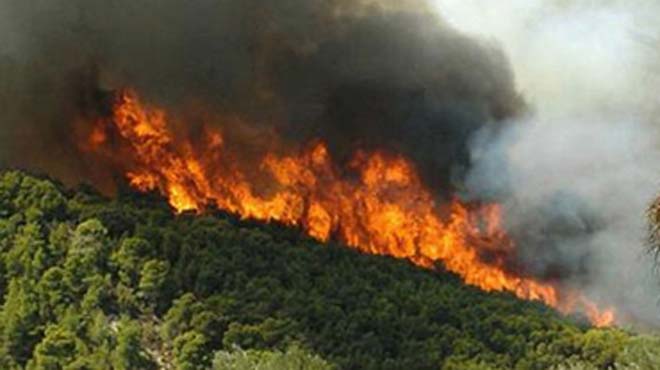 Συνεχείς αναζωπυρώσεις και μεγάλα μέτωπα πυρκαγιάς σε βόρεια Αττική και Εύβοια