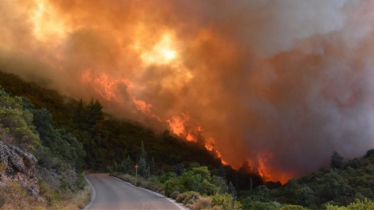 Ισχυρές πυροσβεστικές δυνάμεις επιχειρούν σε Γορτυνία και γειτονικές περιοχές του Δήμου Αρχαίας Ολυμπίας