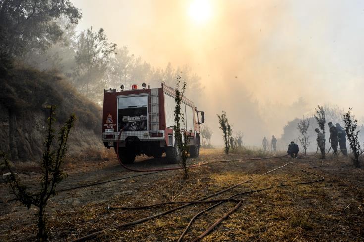 Η Κύπρος στηρίζει έμπρακτα την Ελλάδα στη μάχη κατά των πυρκαγιών, λέει η Αν. Κυβερνητική Εκπρόσωπος