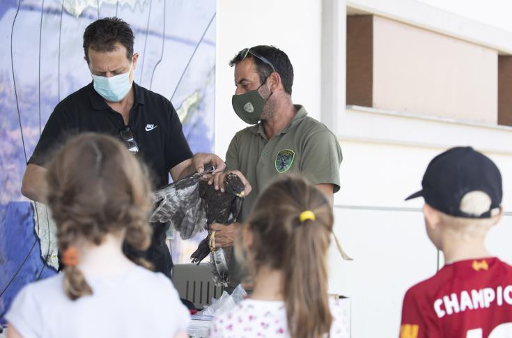 Απελευθερώθηκαν στο Ακρωτήρι πτηνά που έτυχαν περίθαλψης