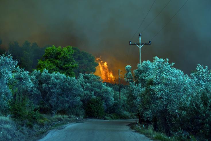 Βοήθεια στους πυρόπληκτους της Εύβοιας από τον όμιλο CTC-Σιακόλα