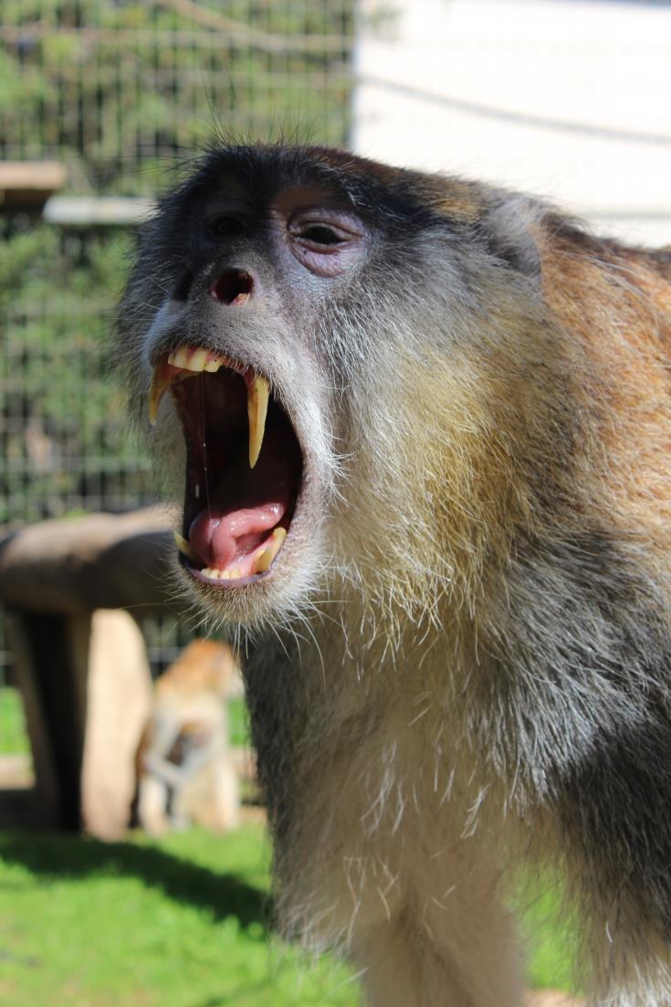 Στο “ψυγείο” τα ζωάκια του Pafos Zoo