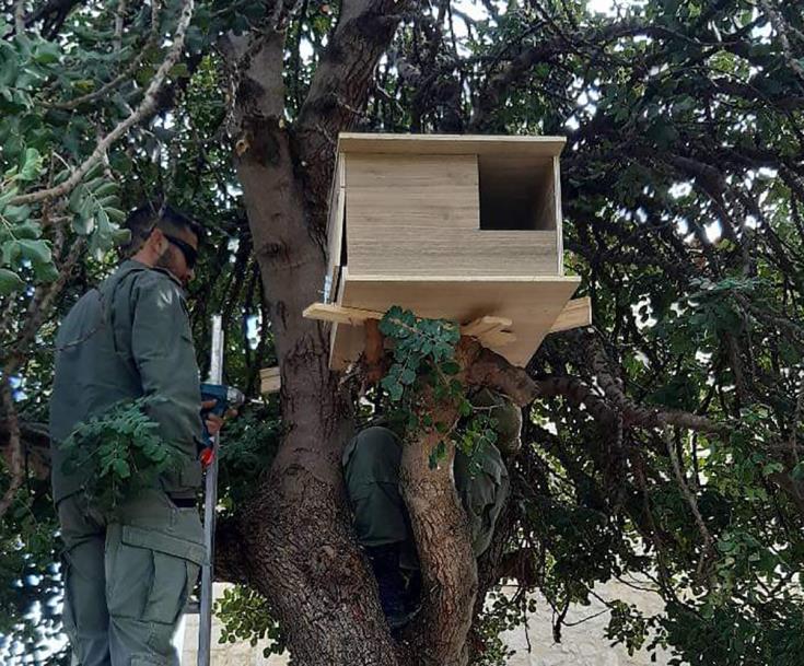 Τοποθέτηση φωλιών ανθρωποπουλιών στην κοινότητα της Στενής