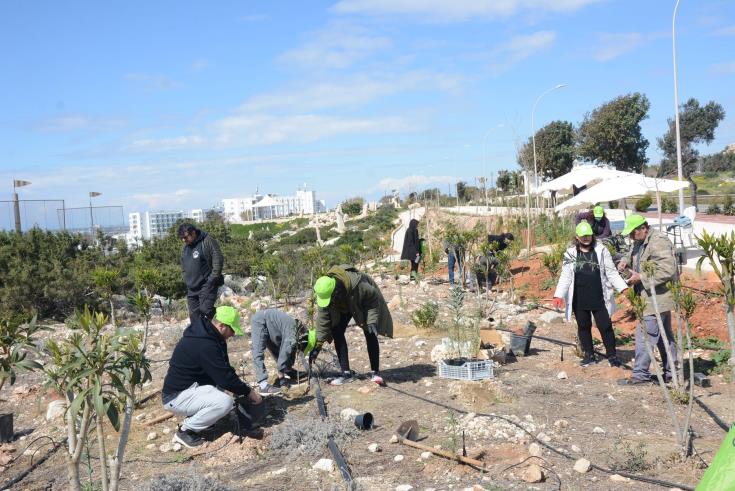 Δεντροφύτευση στο Πάρκο Γλυπτικής και στον Κακτόκηπο Αγίας Νάπας