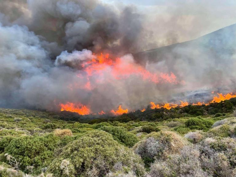 Σε συνομιλίες με άλλες χώρες για δημιουργία μηχανισμού κατάσβεσης πυρκαγιών, δηλώνει ο Κώστας Καδής