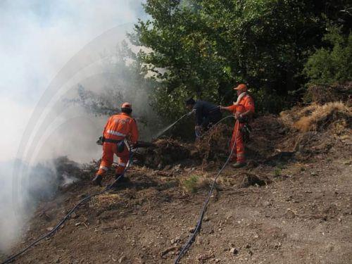 Υπό πλήρη έλεγχο δασική πυρκαγιά πλησίον του δάσους «Απαλός»