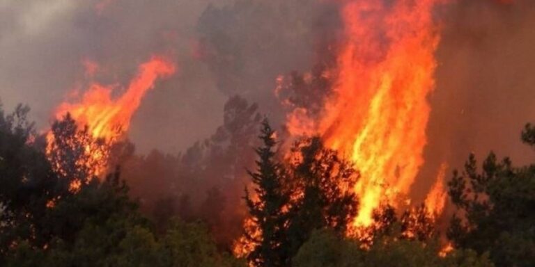 Σε επίπεδο “Κόκκινου Συναγερμού” ο κίνδυνος δασικών πυρκαγιών τη Δευτέρα