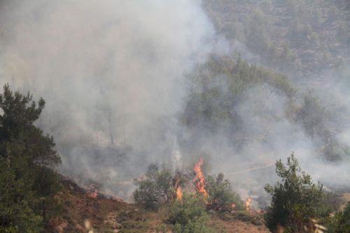 Πυρκαγιά στον Κοτσιάτη επεκτάθηκε εκτός του σκυβαλότοπου