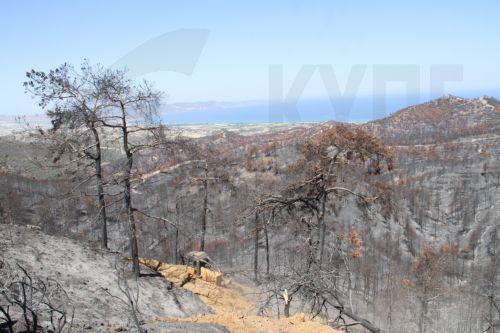 Υπό πλήρη έλεγχο δασική πυρκαγιά σε περιοχή του Δήμου Πέγειας