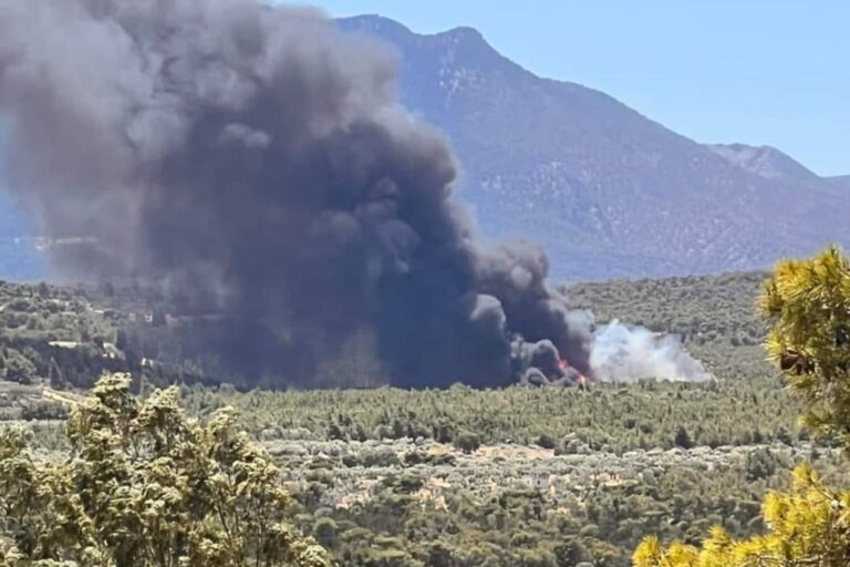 Φωτιά στα Μέγαρα Αττικής, εκκενώνεται ο οικισμός Ζαχούλη