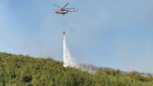 Σε εξέλιξη δασική πυρκαγιά στην Κοινότητα Μοσφιλωτής