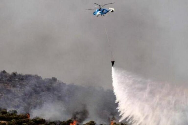 Αναμένονται τα δύο ελικόπτερα που εκμίσθωσε το Τμήμα Δασών για σκοπούς πυρόσβεσης