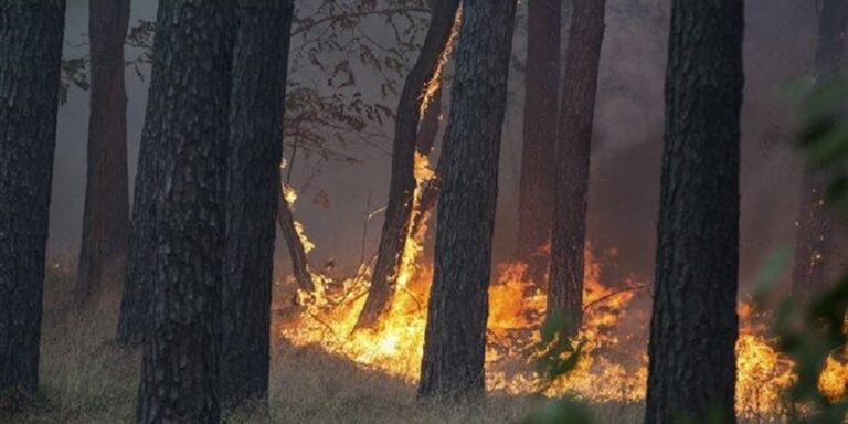 Φωτιά σε Δάσος του Βερολίνου, μετά από έκρηξη σε Αποθήκη Πυρομαχικών