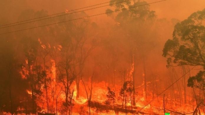 Ανεξέλεγκτη η Πυρκαγιά σε δάσος στο Βερολίνο, συνεχίζονται οι εκρήξεις στην αποθήκη πυρομαχικών