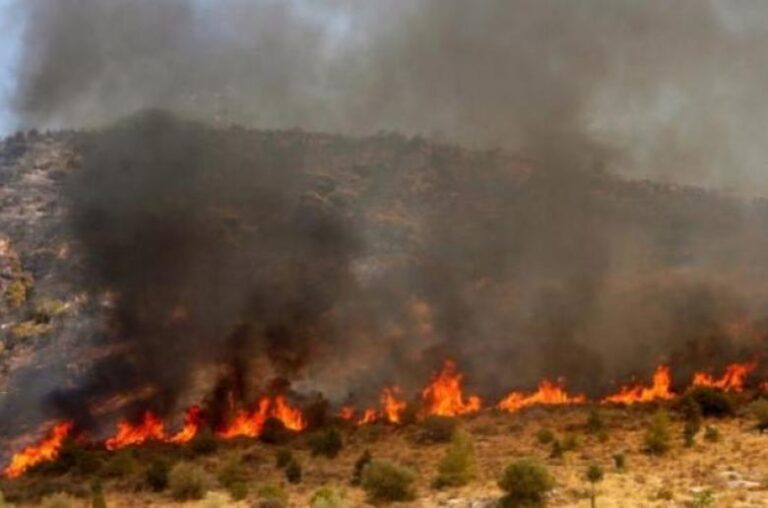 ΑΗΚ-Υπουργός Γεωργίας συστήνουν μόνιμη ομάδα εργασίας για μείωση κινδύνου φωτιάς από καλώδια