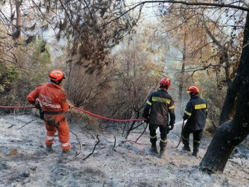 Άρχισαν οι δράσεις συντονισμού για έγκαιρη και αποτελεσματική αντιμετώπιση δασικών πυρκαγιών, τονίζει ο Υπουργός Γεωργίας