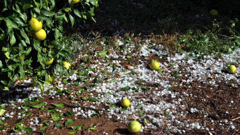 Αρχίζει τη Τρίτη η καταγραφή των ζημιών από τη χαλαζόπτωση