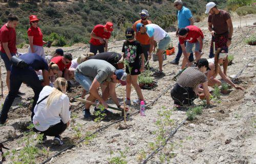 Δεντροφύτευση από το Logicom Cyprus Marathon στα Κούκλια