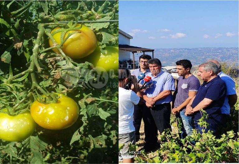 Ζημιές σε δέντρα κα αμπέλια σε κοινότητες της Πάφου από τη χαλαζόπτωση