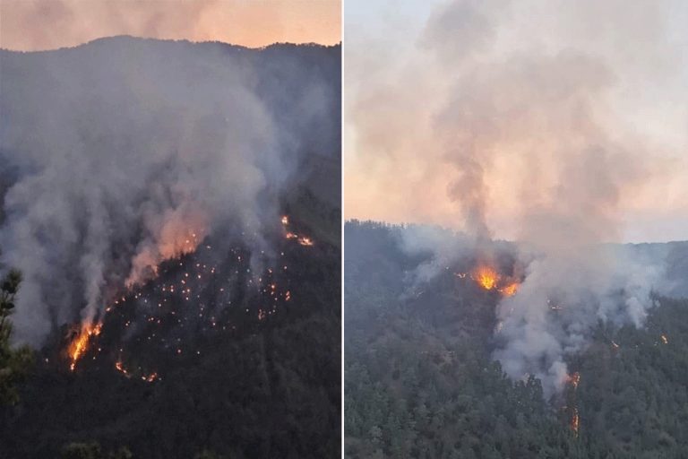 Συγκρατημένη αισιοδοξία για τη φωτιά στο δάσος Πάφου