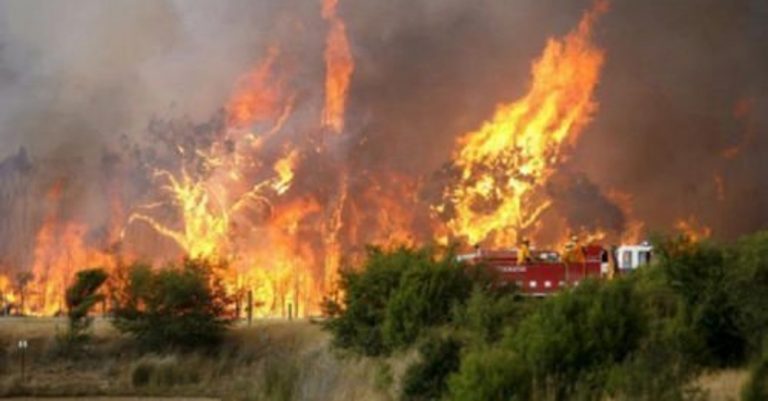 Ρυθμίσεις Υπουργείου Γεωργίας για ηλεκτροδότηση στο Δάσος Πάφου μετά την πυρκαγιά