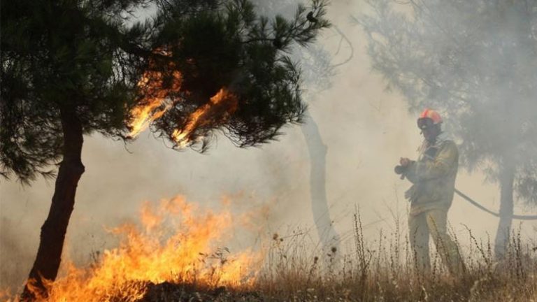 Υπό πλήρη έλεγχο δασική πυρκαγιά στο Δήμο Λευκάρων