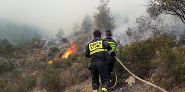 Υπό πλήρη έλεγχο δασική πυρκαγιά στην κοινότητα Μονιάτη