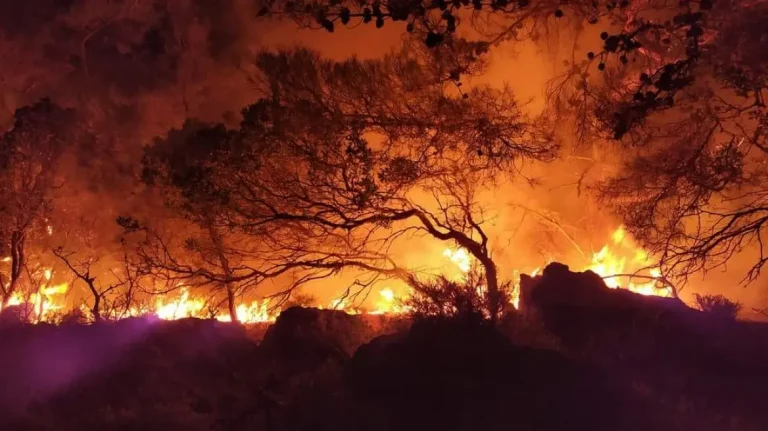 Υπό πλήρη έλεγχο η φωτιά στο Πήλιο, κίνδυνος πυρκαγιάς σε 9 περιφέρειες αύριο