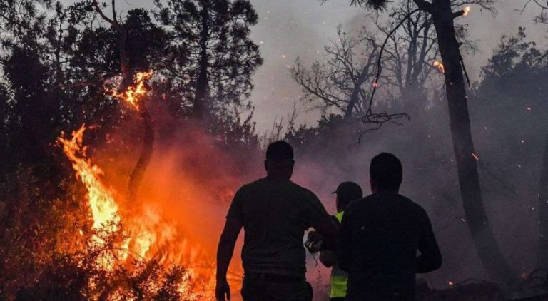 Στους 34 ο αριθμός των νεκρών από τις φονικές πυρκαγιές στην Αλγερία