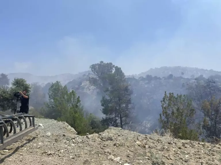 Από τα λύματα του παλαιού σφαγείου Κοφίνου αναζωπυρώθηκε η πυρκαγιά