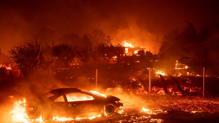 Περιορίστηκαν οι πυρκαγιές σε Μαγνησία, Ρόδο, Λαμία, Κέρκυρα, Κάρυστο και Άρτα