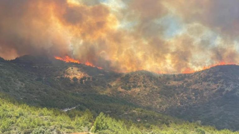 Η Ελλάδα στέλνει και 20 τόνους αντιπυρικού υγρού στην Κύπρο μέσω ΕΕ