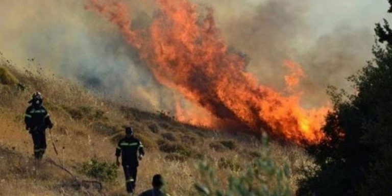 Σε ύφεση επί του παρόντος η πυρκαγιά, ενεργό μέτωπο μεταξύ Φασούλας-Αψιού